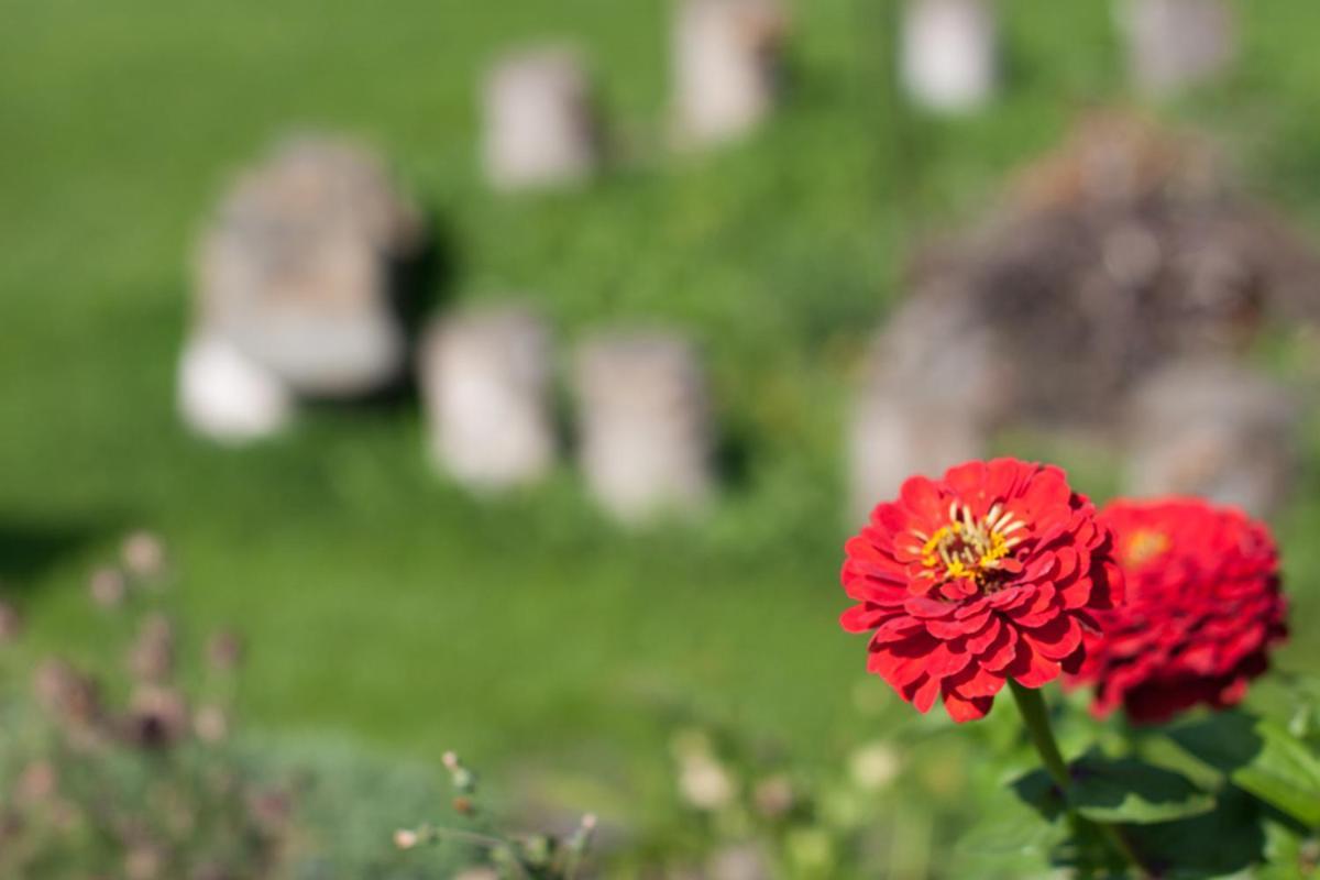 Rodinny Penzion U Wolfu Chrastava Dış mekan fotoğraf